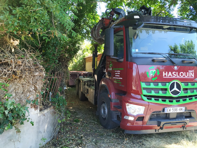 Aperçu des activités de la casse automobile HASLOUIN située à PUISEAUX (45390)